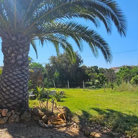 Holiday home Quinta Do Lagar *