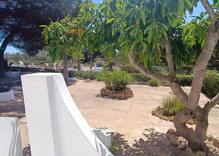 Quinta Do Lagar - 10